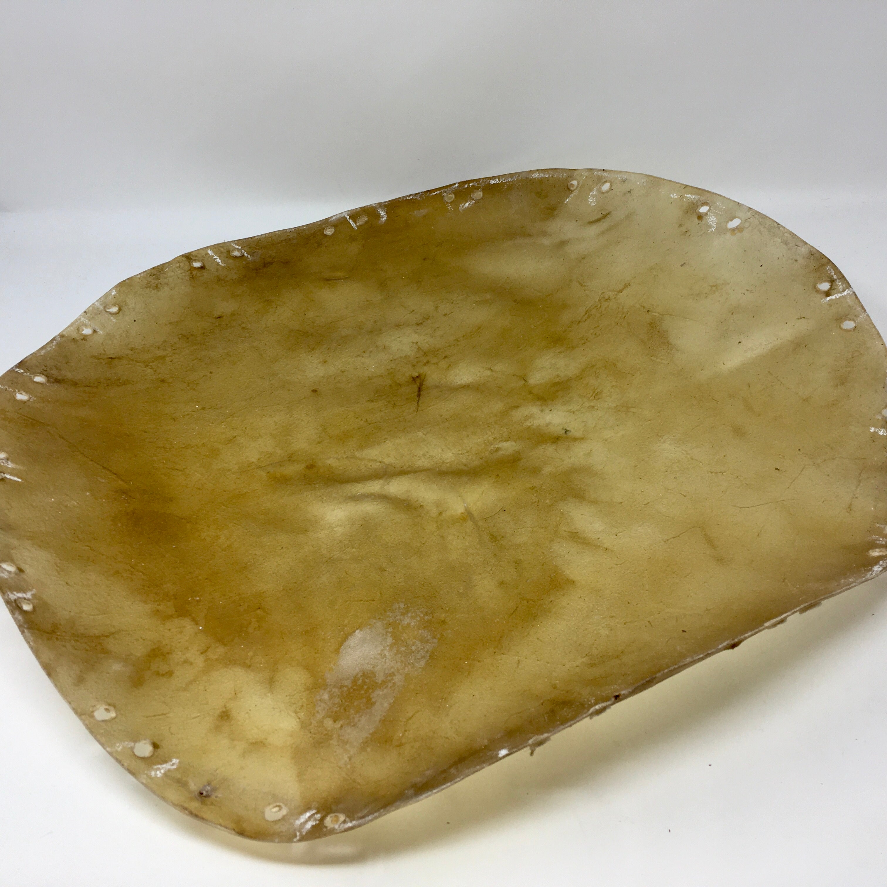 Buffalo Rawhide Drum Skin