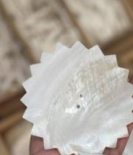 3 Inch Gear Shell