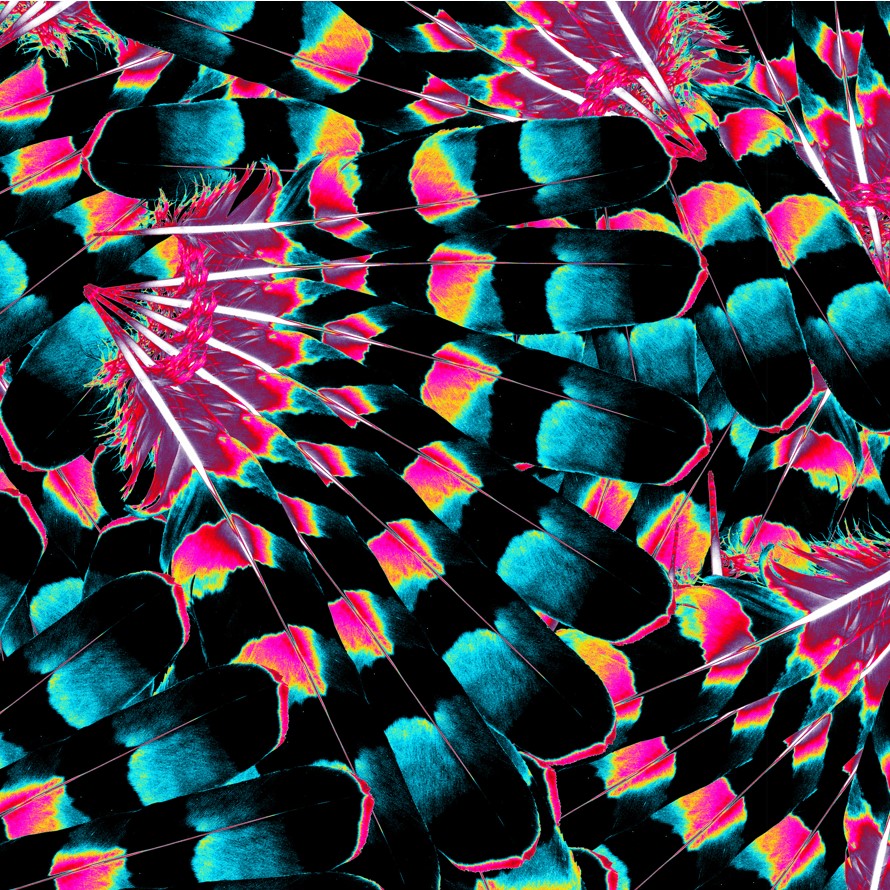 Hawk Feathers Heat Map Cotton Poplin Fabric By the Yard