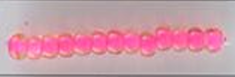 Two Tone Seed Beads Size 11/0 - Fruit Punch