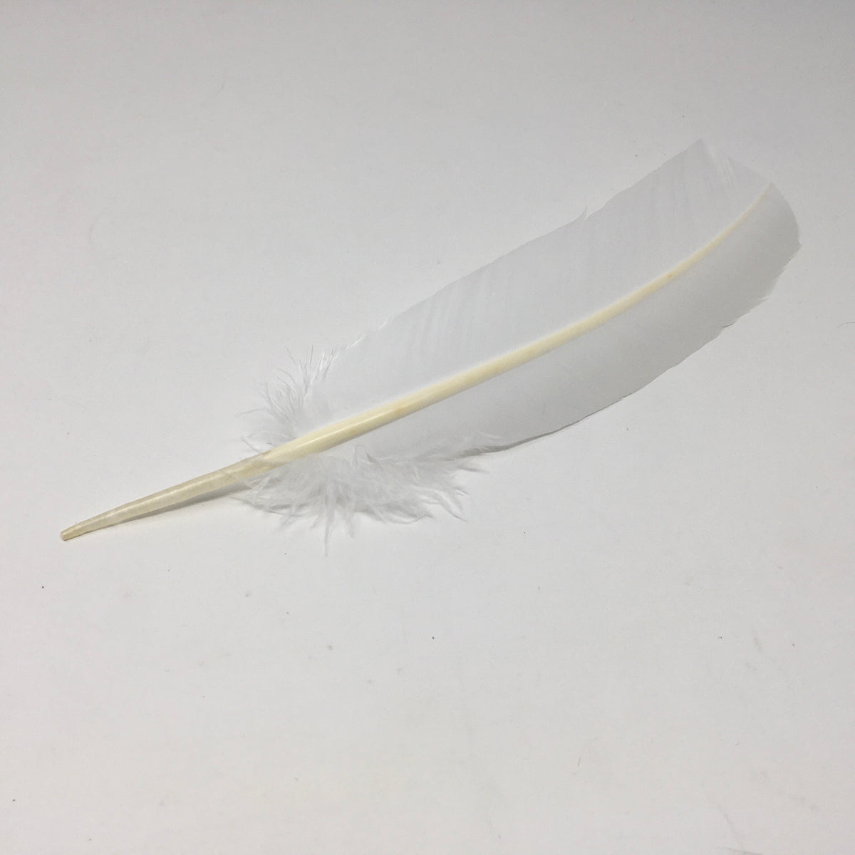 Peacock Wing Spike Feather