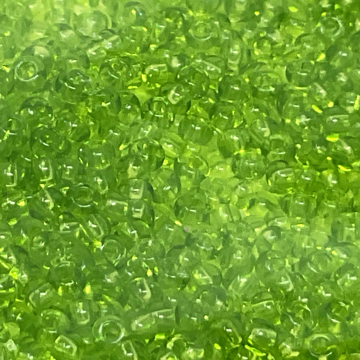 Transparent Seed Beads Size 10/0 - Grass