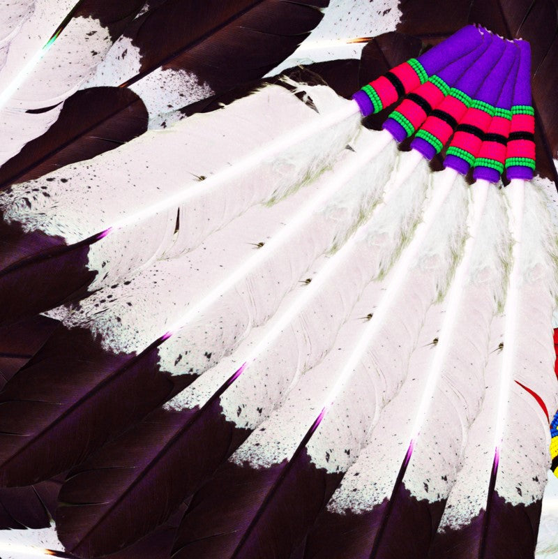 Eagle Feather Fans Cotton Poplin Fabric By the Yard